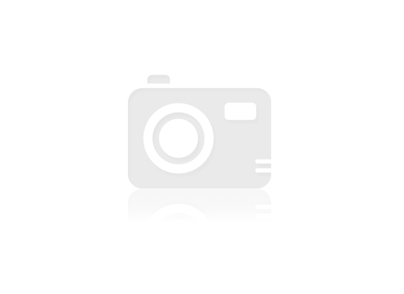 PatchCord_1.Stecker